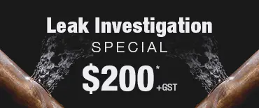 Leak Investigation Discount Whitford